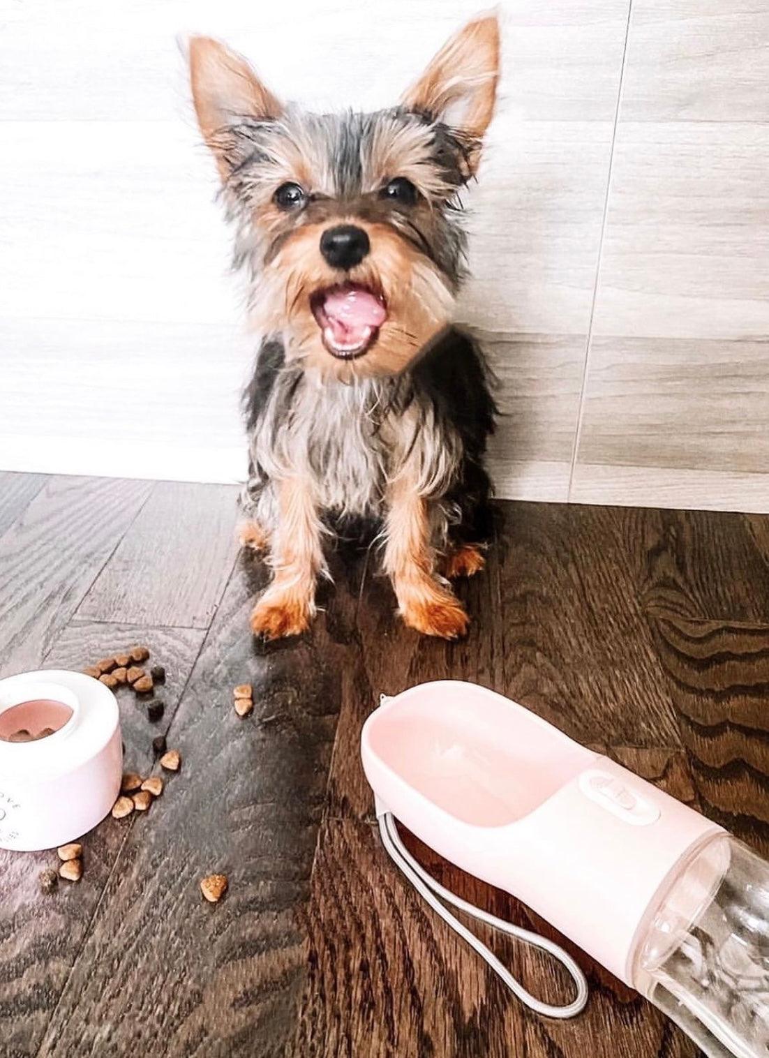 Aapon Mini Market Ltd 2 IN 1 PORTABLE PET FEEDER - PINK