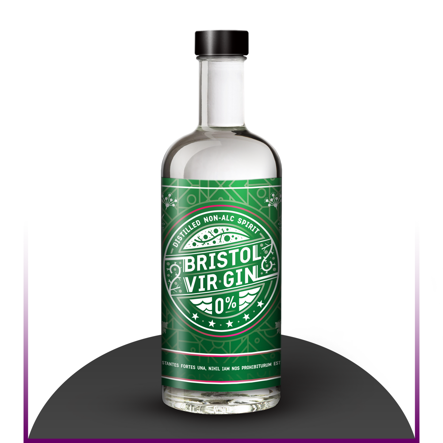 Aaponminimarket Bristol Vir-Gin 70cl