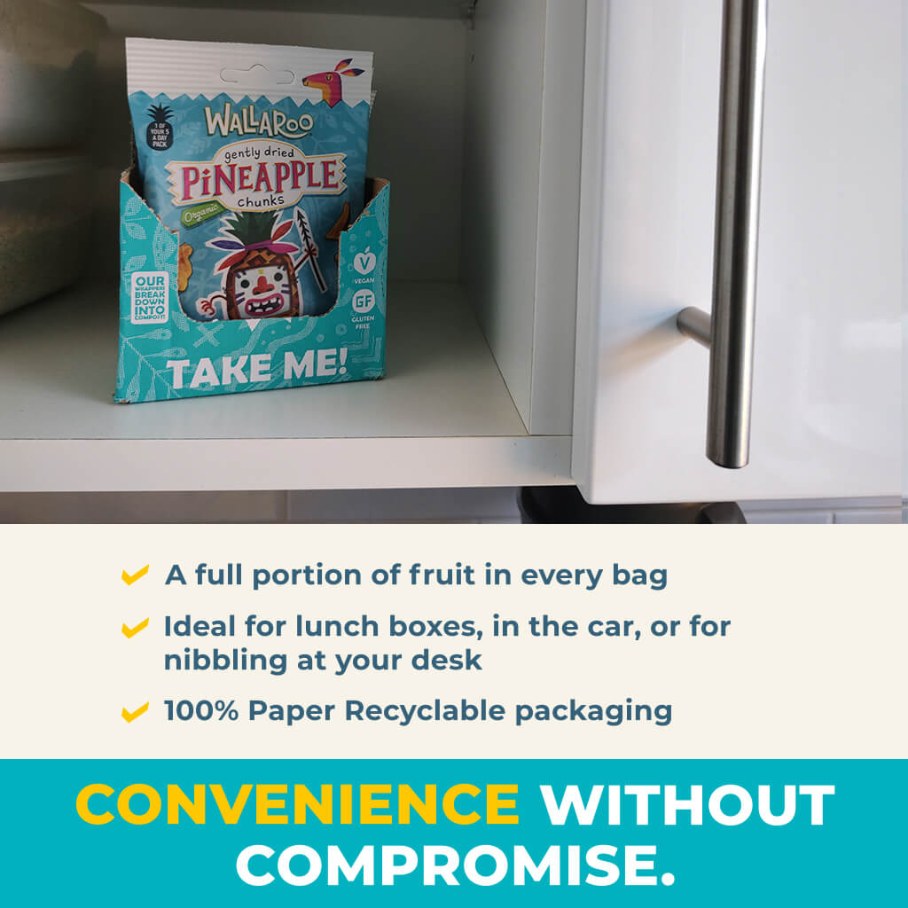 Aaponminimarket Organic Gently Dried Pineapple Chunks