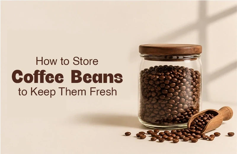 how to store coffee beans to keep them fresh longer