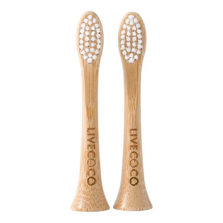 Aaponminimarket LiveCoco Philips Sonicare Brush Heads 2024