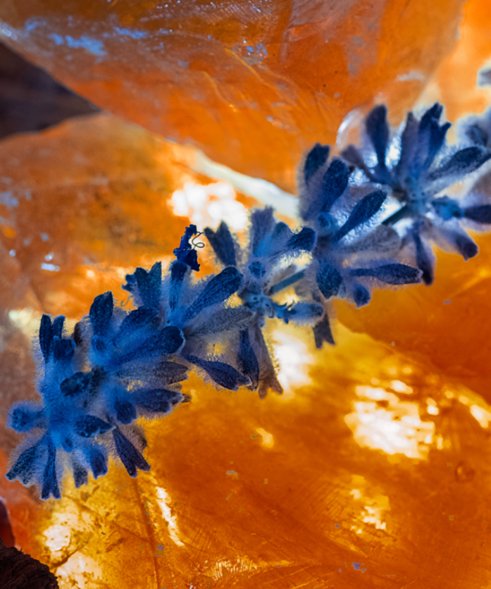 Ambre Millenaire-3