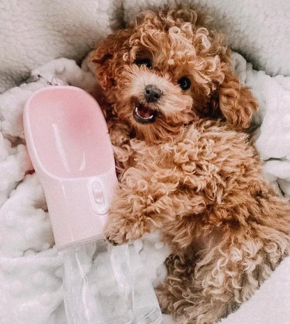 Aaponminimarket 2-in-1 Portable Pet Feeder (Pink)