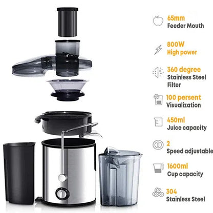 Aaponminimarket 800W Stainless Steel Juicer