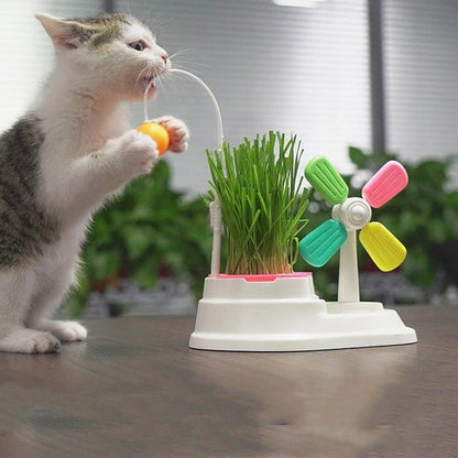 Aaponminimarket Cat Windmill Interactive Toy with Grass Box