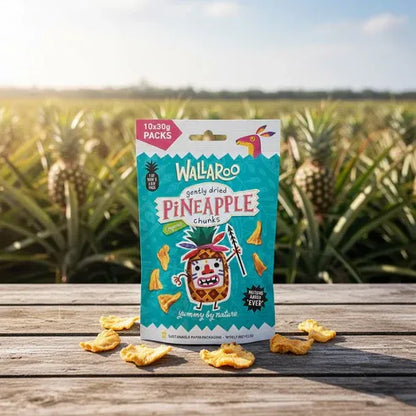 Aaponminimarket Organic Gently Dried Pineapple Chunks