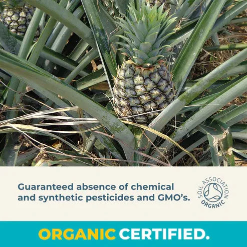 Aaponminimarket Organic Gently Dried Pineapple Chunks