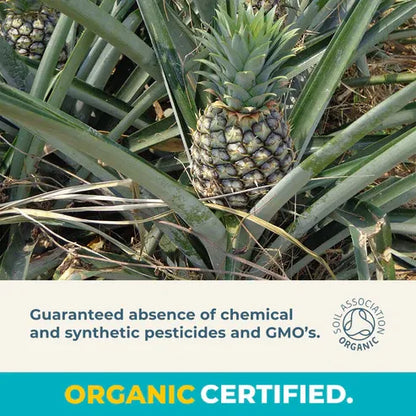 Aaponminimarket Organic Gently Dried Pineapple Chunks