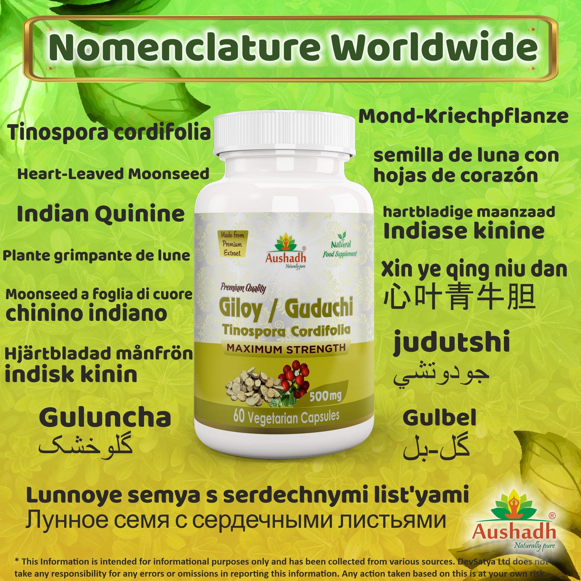 Giloy Guduchi Capsule (Tinospora Cordifolia)-2