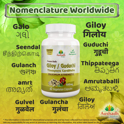 Giloy Guduchi Capsule (Tinospora Cordifolia)-3