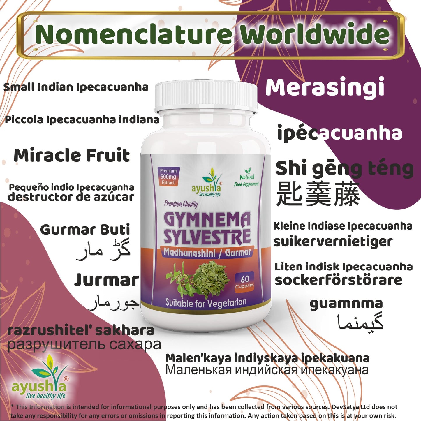 Gymnema Sylvestre (Madhunaashini) Capsule-2