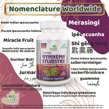 Gymnema Sylvestre (Madhunaashini) Capsule-2