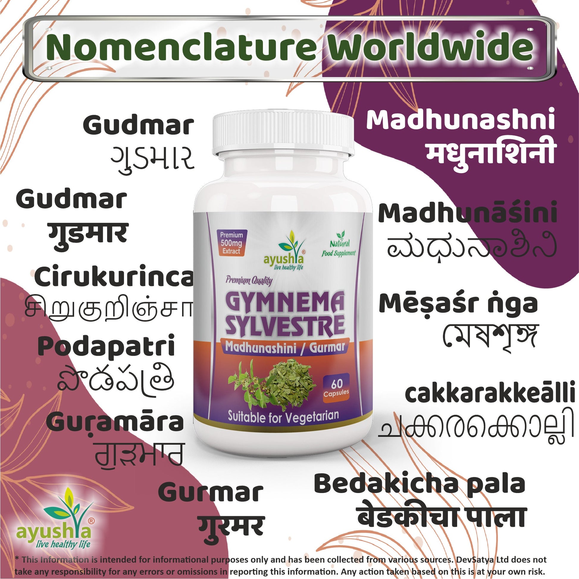 Gymnema Sylvestre (Madhunaashini) Capsule-3