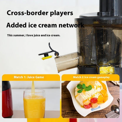 Nutrient-Rich Low Speed Juicer for Fruits and Vegetables-1