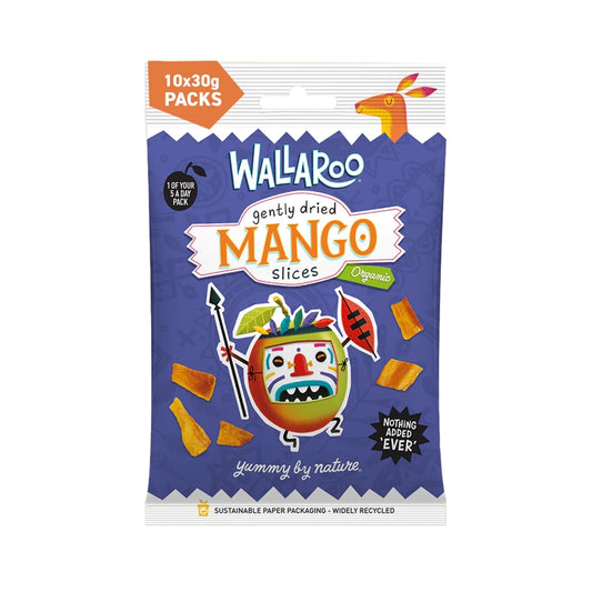 Aaponminimarket Organic Gently Dried Mango Slices