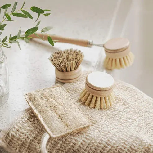 Aapon Mini Market Sustainable Dish Brush Set