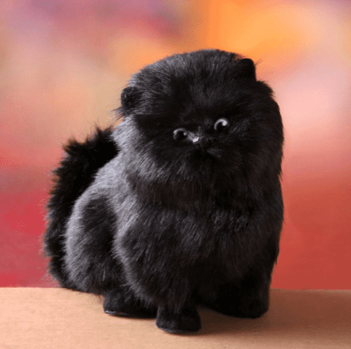 Charming Electric Interactive Plush Kitty Toy - Aapon Mini Market Ltd