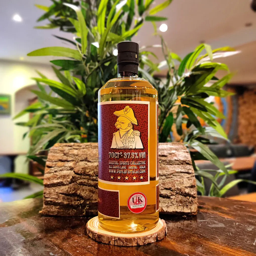 Bristol honey rum 70cl bottle with portrait label in front of green plants